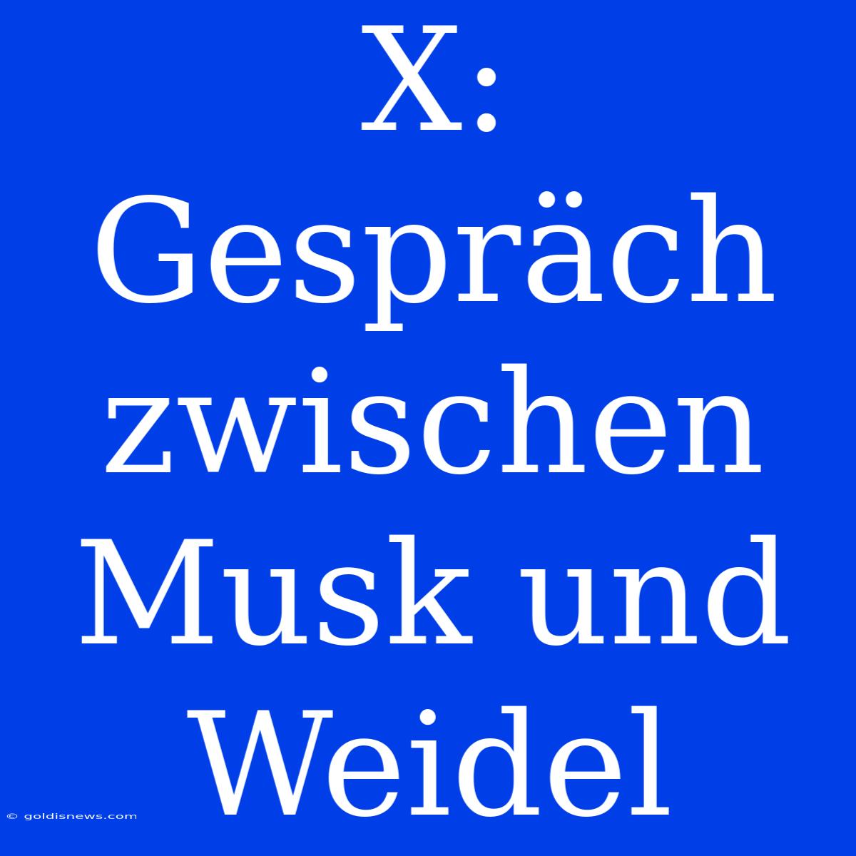 X: Gespräch Zwischen Musk Und Weidel