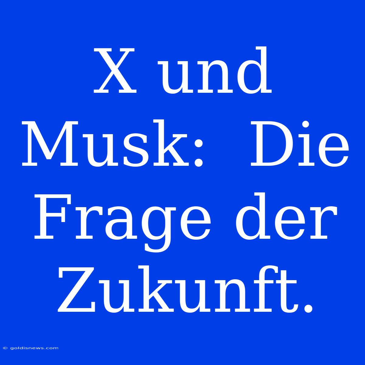 X Und Musk:  Die Frage Der Zukunft.