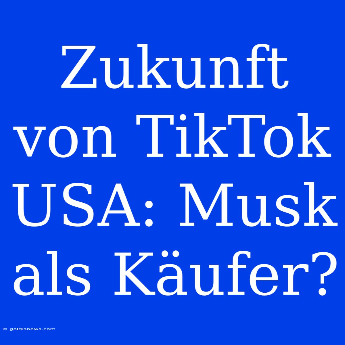 Zukunft Von TikTok USA: Musk Als Käufer?