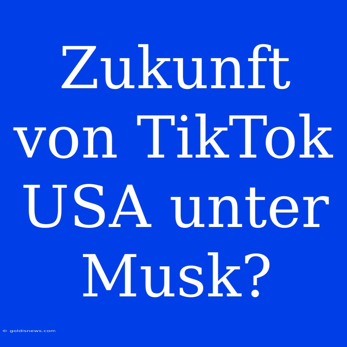 Zukunft Von TikTok USA Unter Musk?