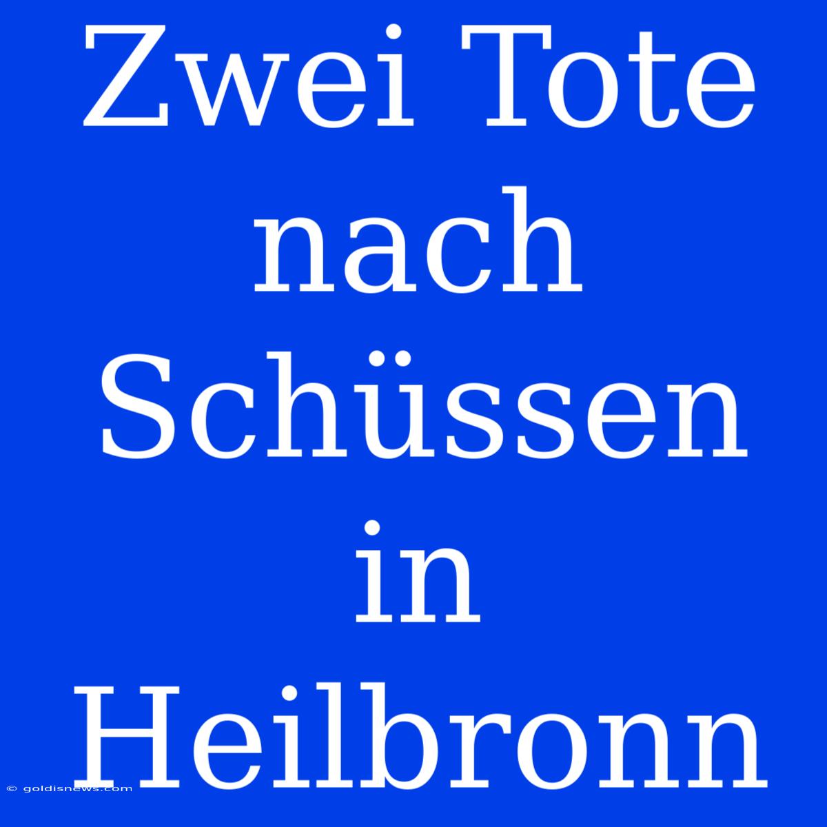 Zwei Tote Nach Schüssen In Heilbronn